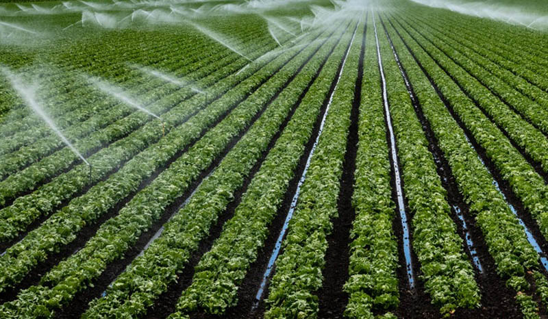 Drip Irrigation Systems